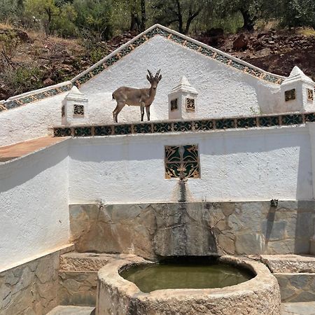 Viva Espana Comares Екстериор снимка